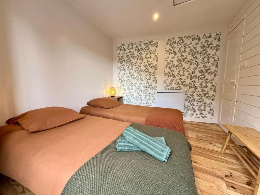 Maison Hyper Centre Ville - 4 Pers - 2 Places De Parking Gratuites 캥페르 외부 사진